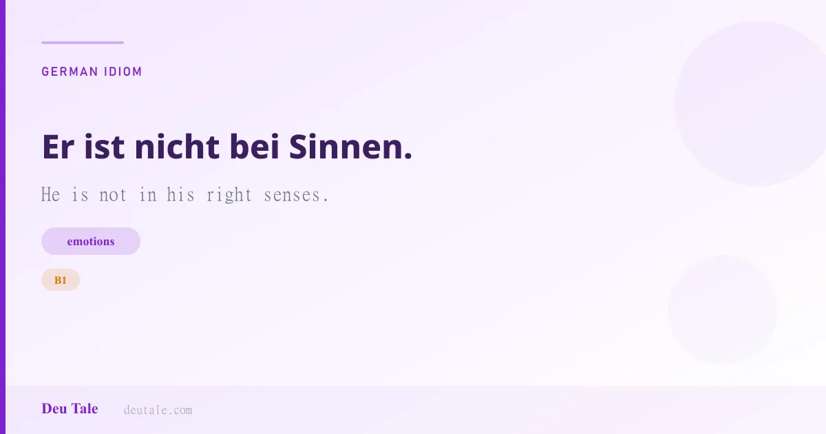 Er ist nicht bei Sinnen. — German idiom meaning: He is not in his right senses. (B1)