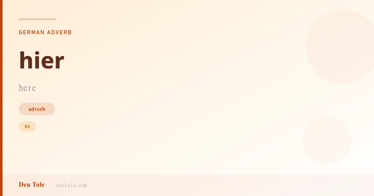 hier — German adverb meaning here (B1)