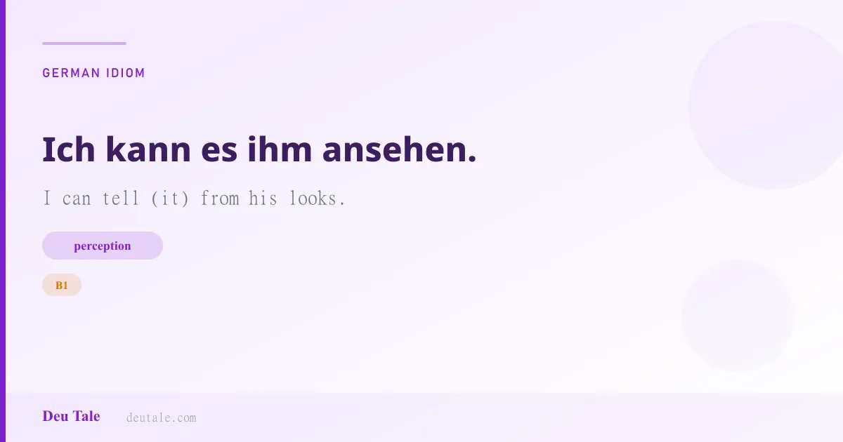Ich kann es ihm ansehen. — German idiom meaning: I can tell (it) from his looks. (B1)