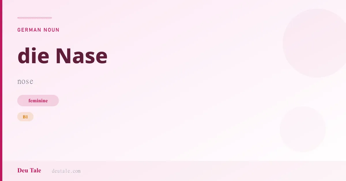die Nase — German feminine noun meaning nose (B1)